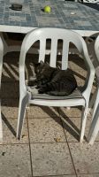 IMG-20240911-WA0018 (Webseite)